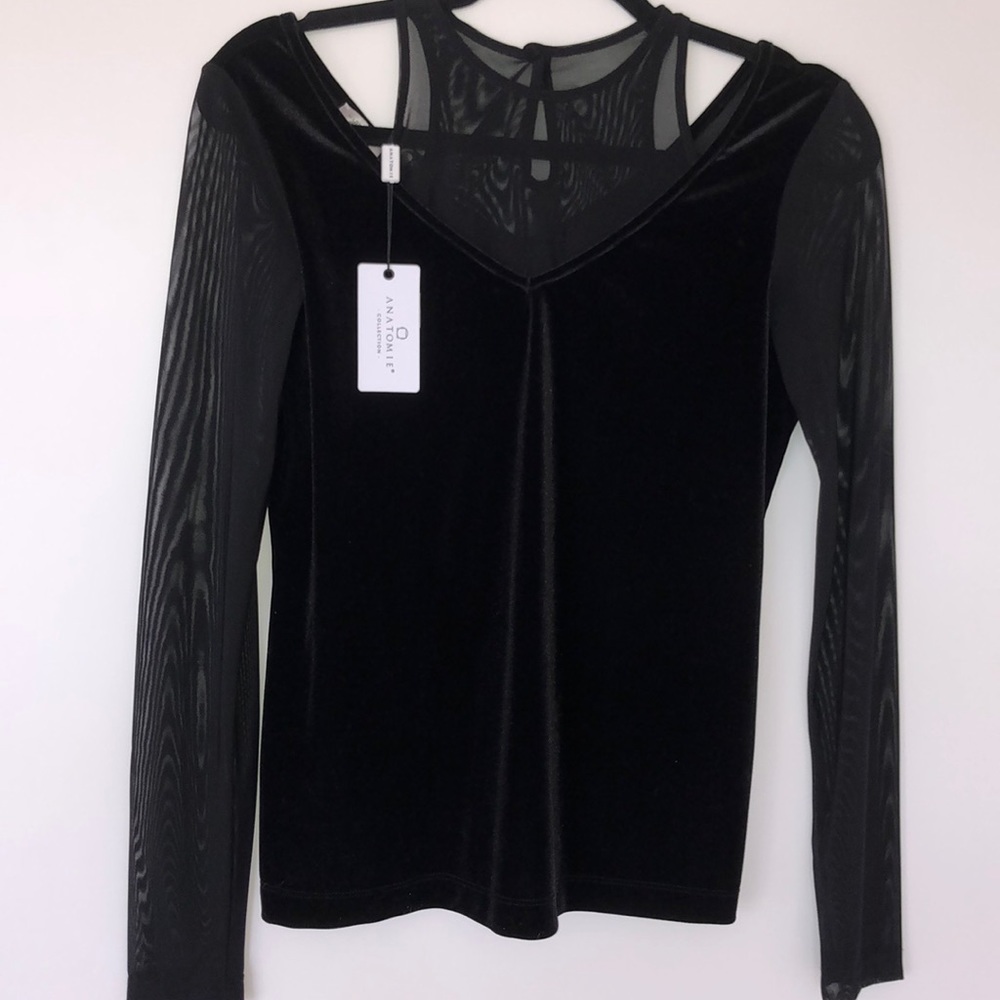 COPY - Velvet, Sheer Long Sleeve Top